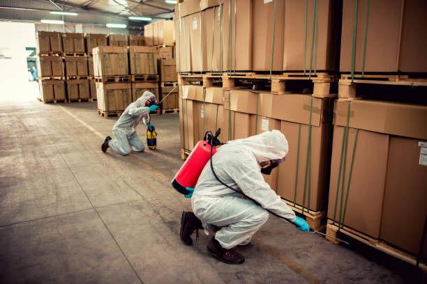 Best Best Pest Control Companies  in Boulder Hl, IL
