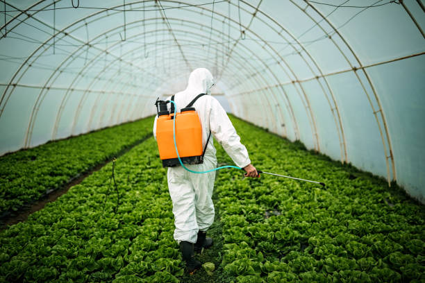 Best Best Pest Control Companies  in Boulder Hl, IL