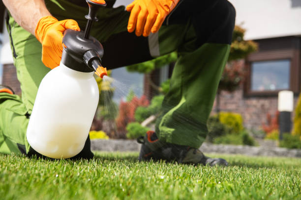 Best Pest Removal Services  in Boulder Hl, IL