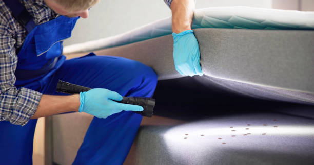 Best Pest Prevention Services  in Boulder Hl, IL