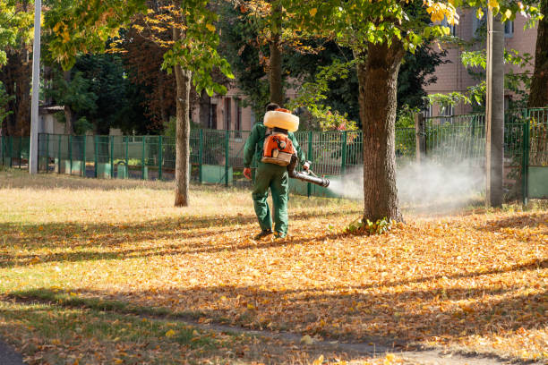 Best Pest Removal Services  in Boulder Hl, IL