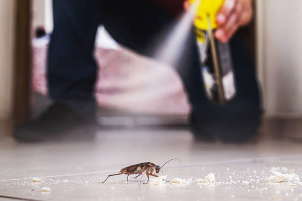 Best Best Pest Control Companies  in Boulder Hl, IL