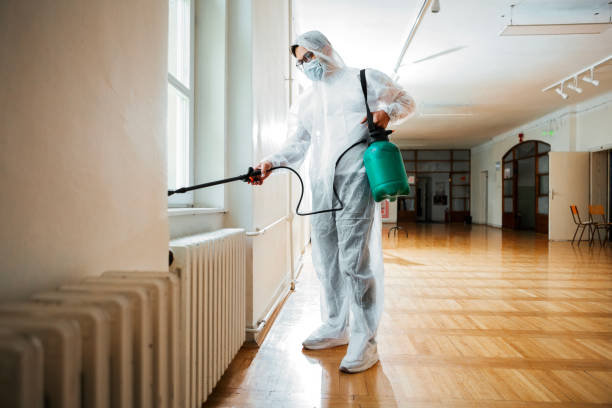 Best Rodent Control Near Me  in Boulder Hl, IL